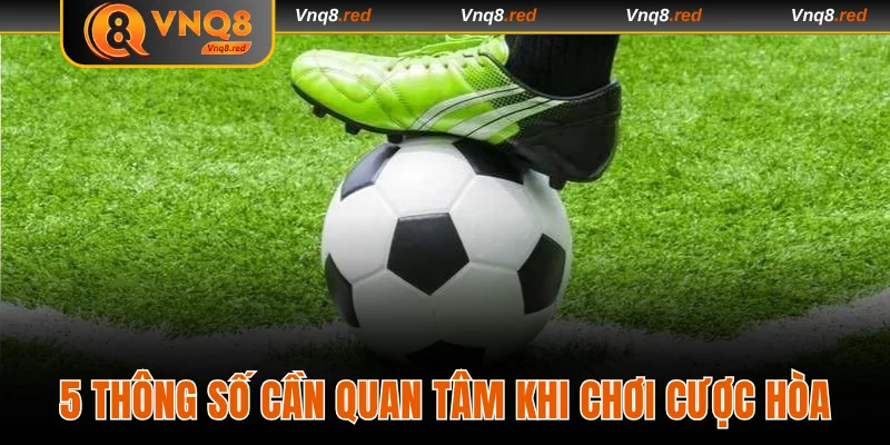 5 thông số cần quan tâm khi chơi cược hòa
