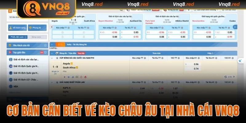 Cơ bản cần biết về kèo châu Âu tại nhà cái VNQ8