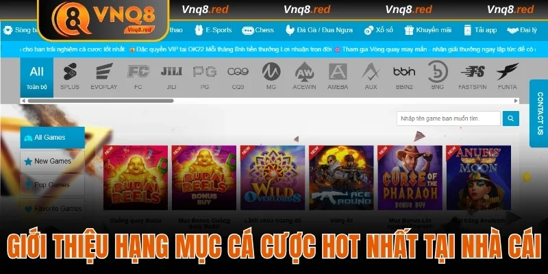 Giới Thiệu VNQ8 - Nền Tảng Cá Cược Uy Tín Top 1 Châu Á 3 Giới thiệu hạng mục cá cược hot nhất tại nhà cái