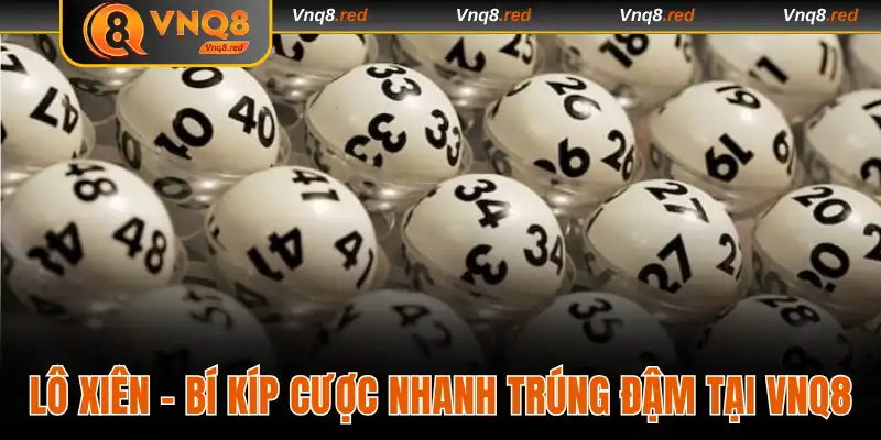 Lô Xiên Tại VNQ8 - Top 3 Bí Kíp Cược Nhanh Trúng Đậm 1 Lô Xiên
