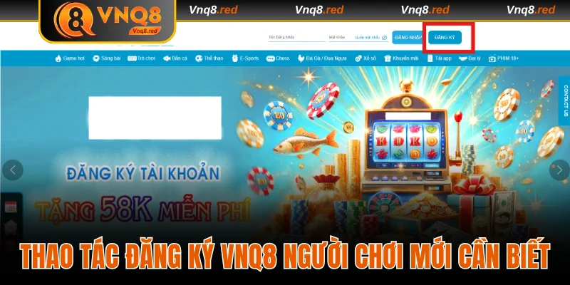 Thao tác đăng ký VNQ8 người chơi mới cần biết