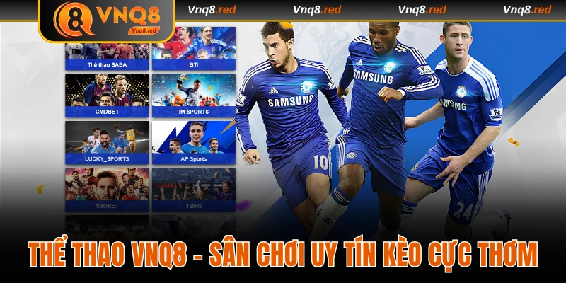 Thể Thao VNQ8 – Thưởng Thức Các Trận Đấu Bắt Kèo Ngon Ăn